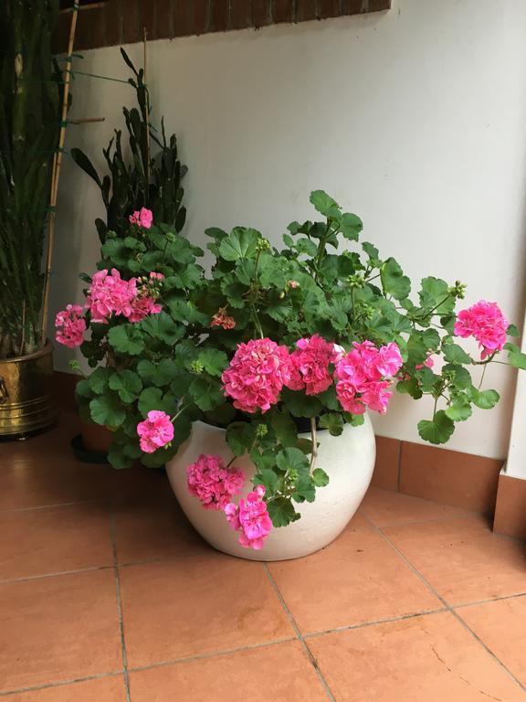 Agriturismo Da Ninoti Treviso Ngoại thất bức ảnh